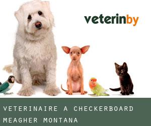 vétérinaire à Checkerboard (Meagher, Montana)