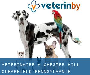 vétérinaire à Chester Hill (Clearfield, Pennsylvanie)