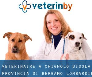 vétérinaire à Chignolo d'Isola (Provincia di Bergamo, Lombardie)