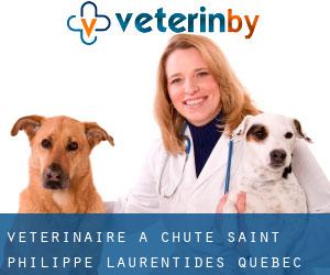 vétérinaire à Chute-Saint-Philippe (Laurentides, Québec)