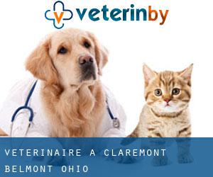 vétérinaire à Claremont (Belmont, Ohio)