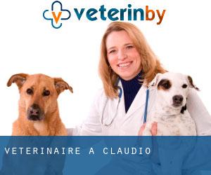 vétérinaire à Cláudio