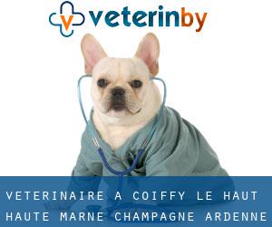 vétérinaire à Coiffy-le-Haut (Haute-Marne, Champagne-Ardenne)