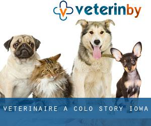 vétérinaire à Colo (Story, Iowa)