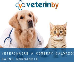 vétérinaire à Combray (Calvados, Basse-Normandie)
