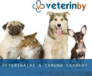 vétérinaire à Comuna Căpreni