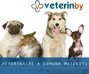 vétérinaire à Comuna Mateeşti