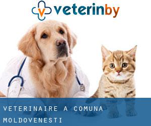 vétérinaire à Comuna Moldoveneşti