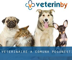 vétérinaire à Comuna Pogoneşti