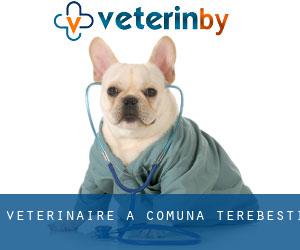 vétérinaire à Comuna Terebeşti