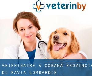 vétérinaire à Corana (Provincia di Pavia, Lombardie)