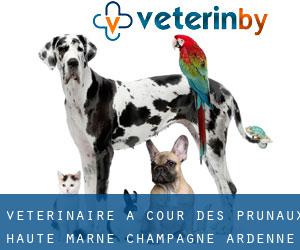 vétérinaire à Cour des Prunaux (Haute-Marne, Champagne-Ardenne)