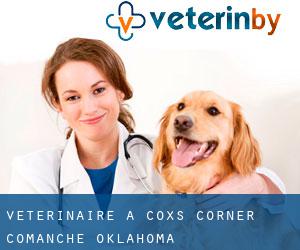 vétérinaire à Coxs Corner (Comanche, Oklahoma)