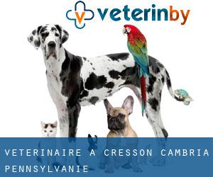 vétérinaire à Cresson (Cambria, Pennsylvanie)