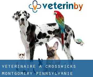 vétérinaire à Crosswicks (Montgomery, Pennsylvanie)