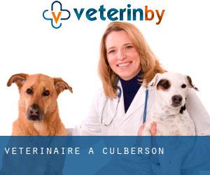 vétérinaire à Culberson