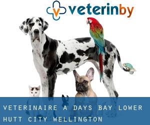 vétérinaire à Days Bay (Lower Hutt City, Wellington)