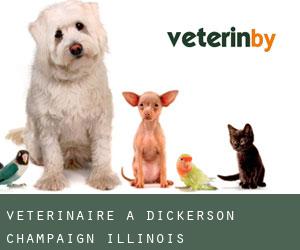 vétérinaire à Dickerson (Champaign, Illinois)