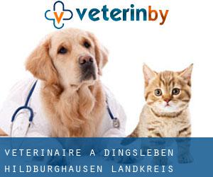 vétérinaire à Dingsleben (Hildburghausen Landkreis, Thuringe)