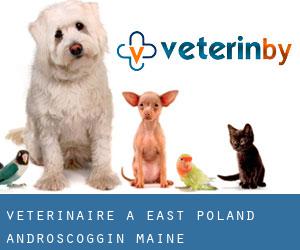 vétérinaire à East Poland (Androscoggin, Maine)