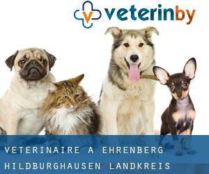 vétérinaire à Ehrenberg (Hildburghausen Landkreis, Thuringe)