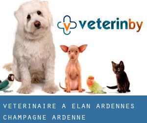 vétérinaire à Élan (Ardennes, Champagne-Ardenne)
