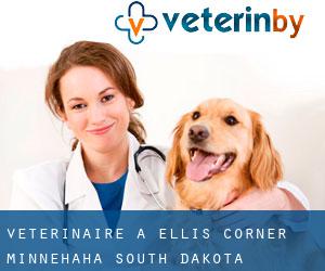 vétérinaire à Ellis Corner (Minnehaha, South Dakota)