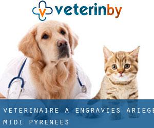 vétérinaire à Engraviès (Ariège, Midi-Pyrénées)