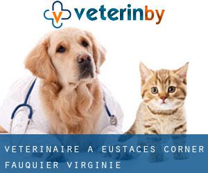 vétérinaire à Eustaces Corner (Fauquier, Virginie)