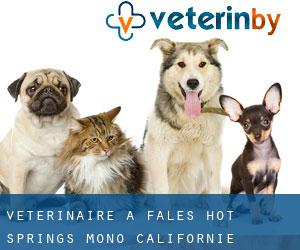 vétérinaire à Fales Hot Springs (Mono, Californie)