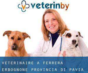 vétérinaire à Ferrera Erbognone (Provincia di Pavia, Lombardie)