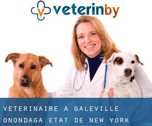 vétérinaire à Galeville (Onondaga, État de New York)