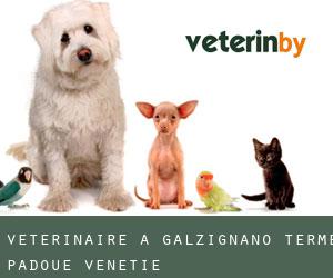 vétérinaire à Galzignano Terme (Padoue, Vénétie)