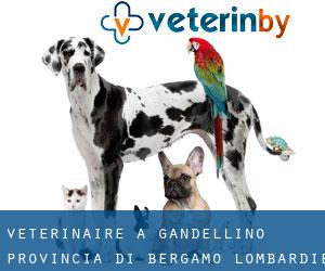 vétérinaire à Gandellino (Provincia di Bergamo, Lombardie)