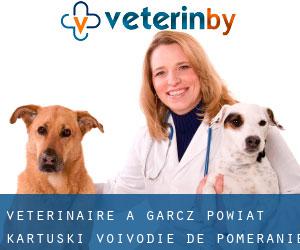 vétérinaire à Garcz (Powiat kartuski, Voïvodie de Poméranie)
