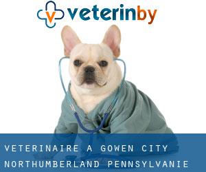 vétérinaire à Gowen City (Northumberland, Pennsylvanie)
