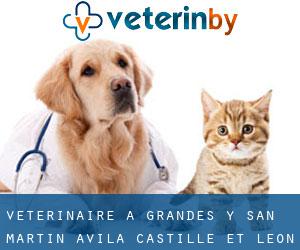 vétérinaire à Grandes y San Martín (Avila, Castille-et-León)