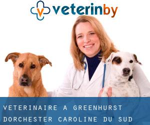 vétérinaire à Greenhurst (Dorchester, Caroline du Sud)