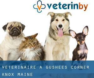 vétérinaire à Gushees Corner (Knox, Maine)