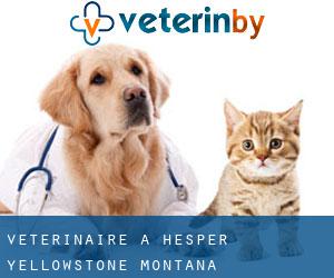 vétérinaire à Hesper (Yellowstone, Montana)