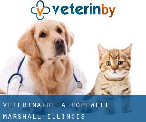 vétérinaire à Hopewell (Marshall, Illinois)