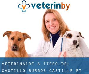vétérinaire à Itero del Castillo (Burgos, Castille-et-León)