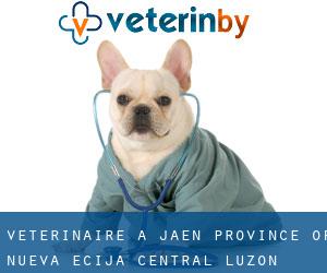 vétérinaire à Jaen (Province of Nueva Ecija, Central Luzon)