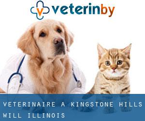 vétérinaire à Kingstone Hills (Will, Illinois)