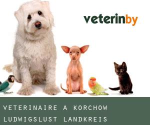vétérinaire à Körchow (Ludwigslust Landkreis, Mecklembourg-Poméranie)