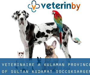 vétérinaire à Kulaman (Province of Sultan Kudarat, Soccsksargen)