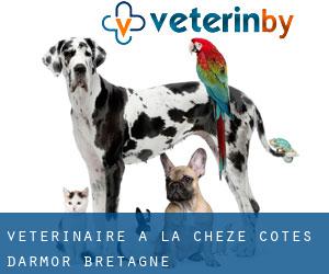 vétérinaire à La Chèze (Côtes-d'Armor, Bretagne)