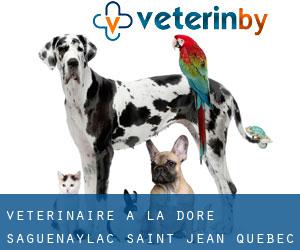 vétérinaire à La Doré (Saguenay/Lac-Saint-Jean, Québec)