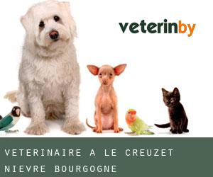 vétérinaire à Le Creuzet (Nièvre, Bourgogne)