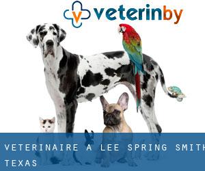 vétérinaire à Lee Spring (Smith, Texas)